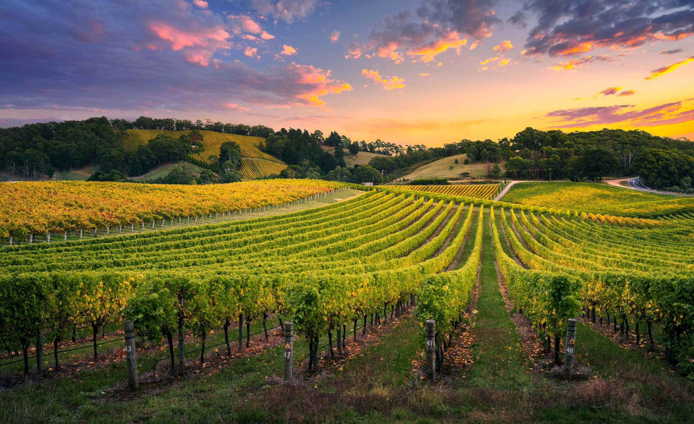 Winery welcome image